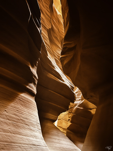 Antelope Contours