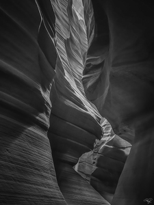 Antelope Contours BW