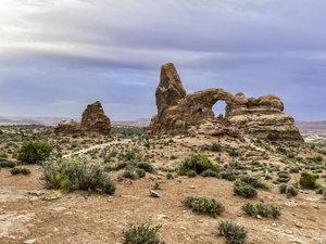 Arches Morning Window