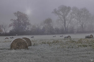 First Frost