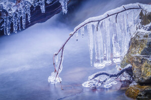Ice Dreams