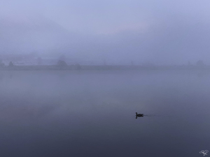 Lonely Lake
