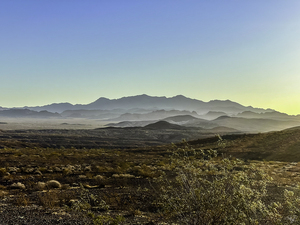 Mojave Morning