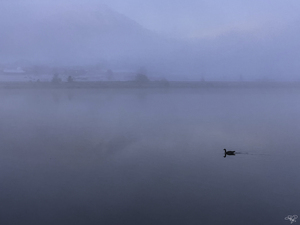 Quiet Hour