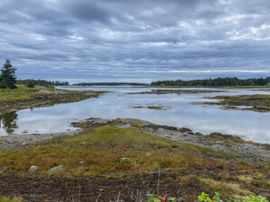 Tenants Bay Maine