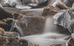 Winter Solace 1