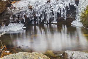 Winter Solace 12