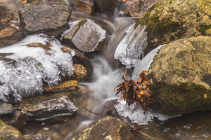Winter Solace 15