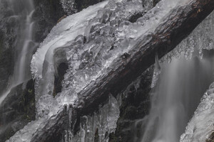 Winter Solace 5