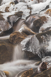 Winter Solace 7