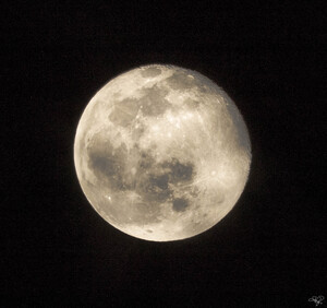 Wolf Moon