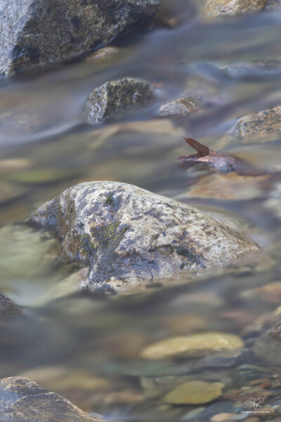A Rock in Repose by THOMAS PATRICK KENNEDY