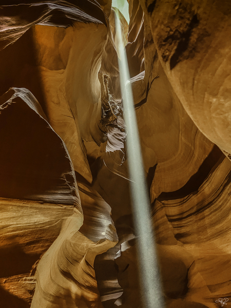 Antelope Beams Print