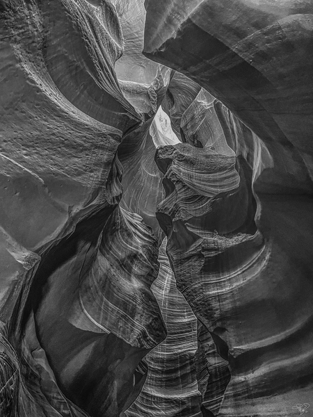 Column Cavalcade BW Print