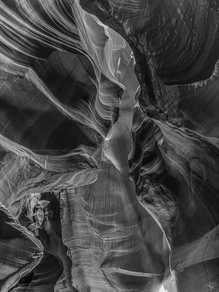 Column Curves BW Print
