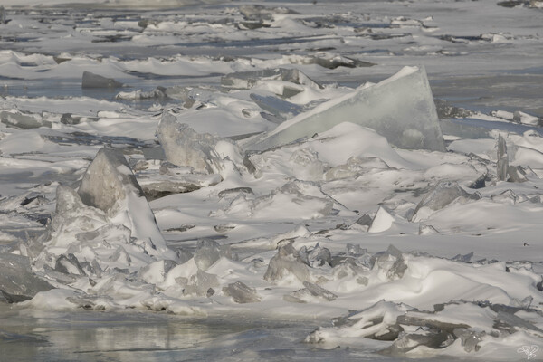 Hudson River Ice Pack by THOMAS PATRICK KENNEDY
