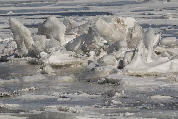 Hudson River Ice Pack 2 by THOMAS PATRICK KENNEDY