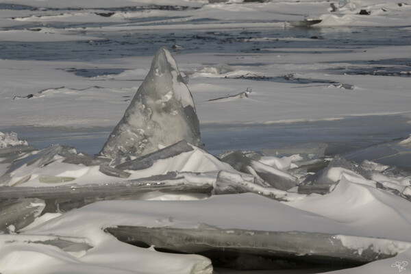 Hudson River Ice Pack 3 by THOMAS PATRICK KENNEDY