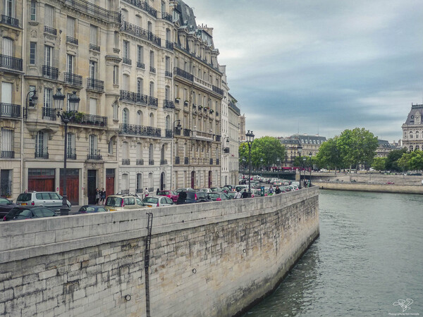 Ile de la Cite by THOMAS PATRICK KENNEDY
