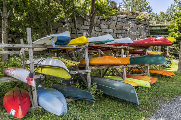 Kayaking Anyone Print