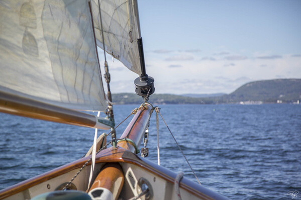 Let s Go Sailing by THOMAS PATRICK KENNEDY