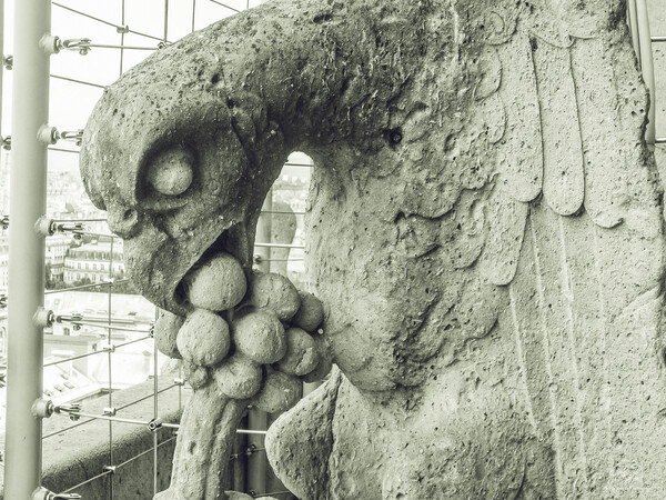 Mangiaracina V by THOMAS PATRICK KENNEDY