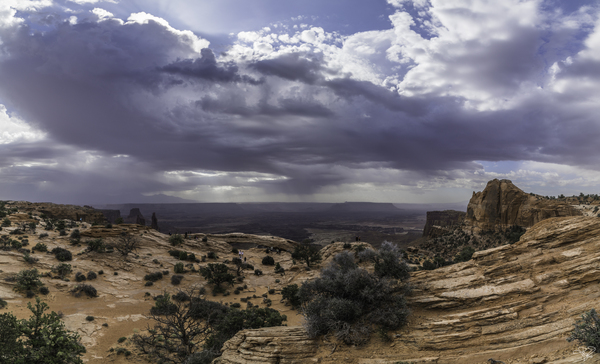 Meas Arch Macro Print