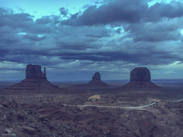 Mittens at Twilight by THOMAS PATRICK KENNEDY