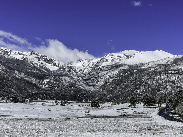 Mountain Meadows Print