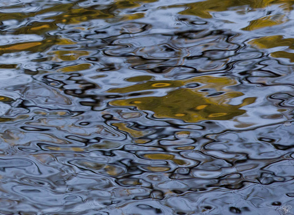 River Reflections Print