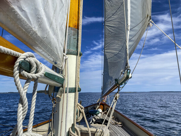 Sailing Life by THOMAS PATRICK KENNEDY