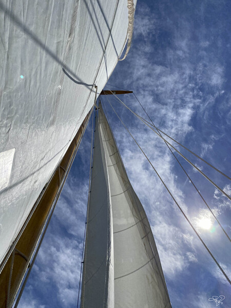 Sails and Sun Print