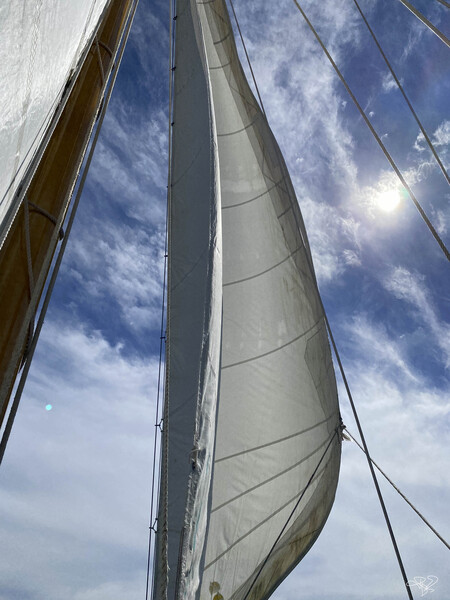 Salt and Sail by THOMAS PATRICK KENNEDY