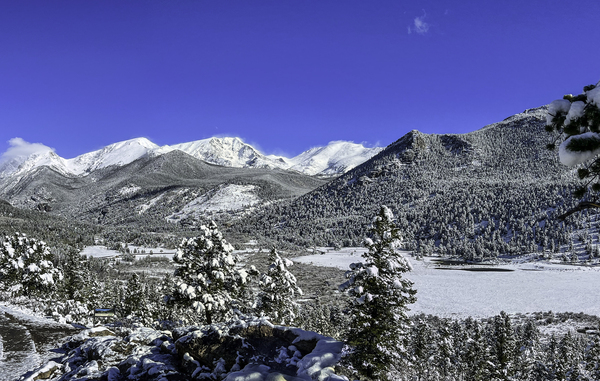 Snowscape Print