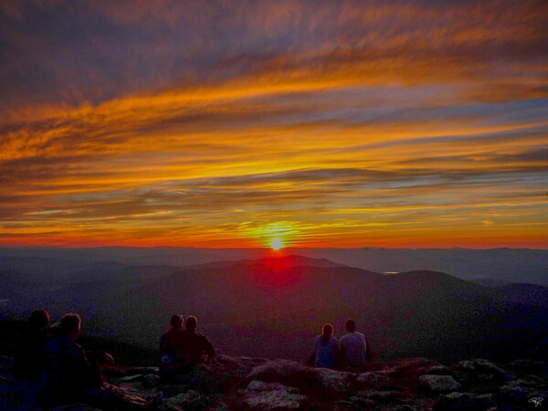 Sunset Friends Print