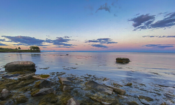 Tenants Bay Sunset by THOMAS PATRICK KENNEDY