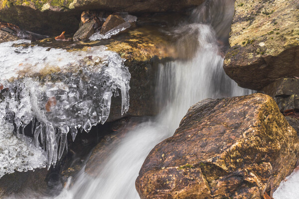 Winter Solace 14 Print