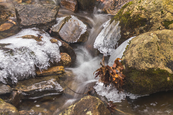 Winter Solace 15 Print