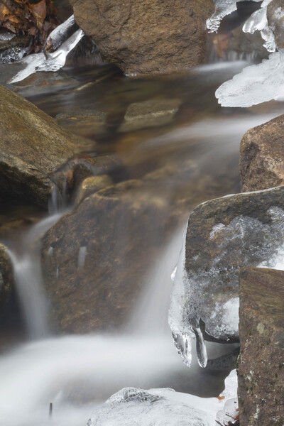 Winter Solace 2 Print
