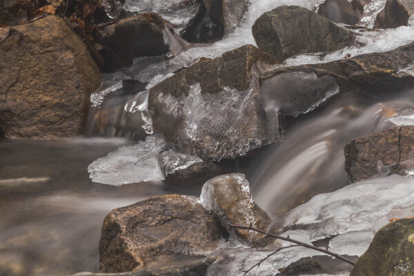 Winter Solace 3 Print