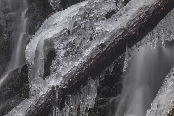 Winter Solace 5 Print