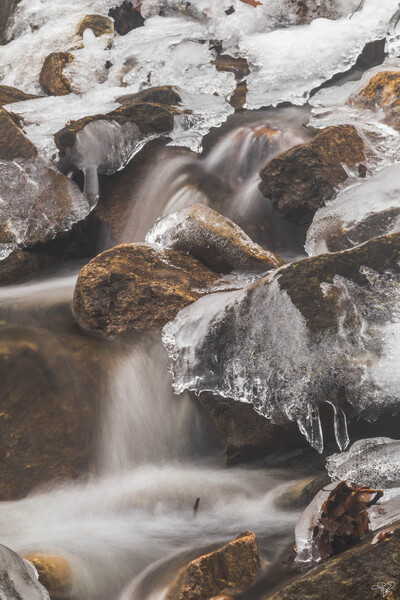 Winter Solace 7 Print