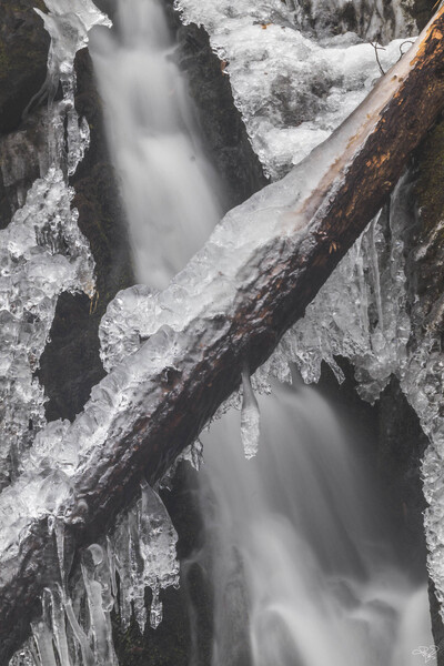 Winter Solace 9 Print