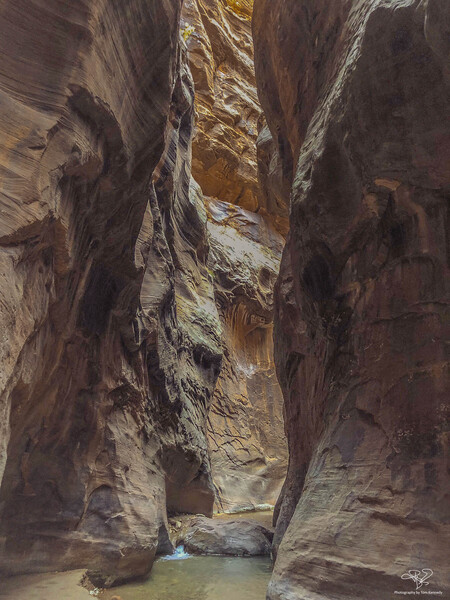 Zion Narrows by THOMAS PATRICK KENNEDY