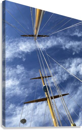 Skyward Canvas Print