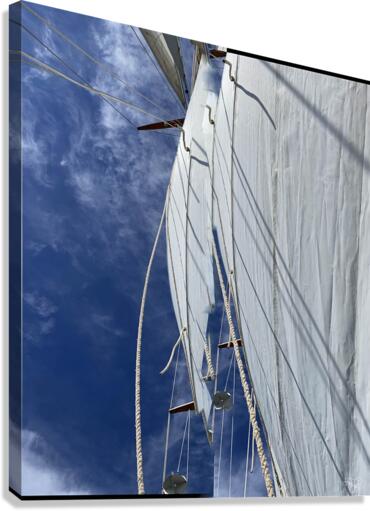 Trim the Sheets Canvas Print