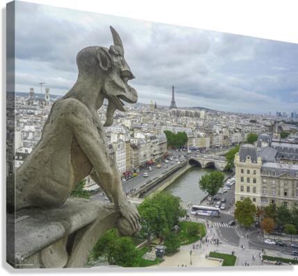 The Watcher Canvas Print