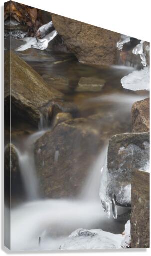 Winter Solace 2 Canvas Print