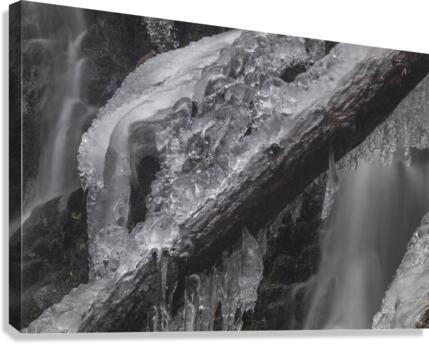 Winter Solace 5 Canvas Print