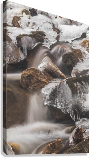Winter Solace 7 Canvas Print